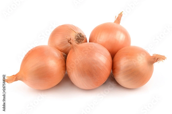 Obraz Onions on a white background