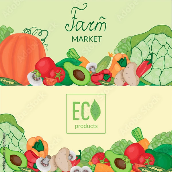 Obraz Vintage cards with the image of farm fruits and vegetables with logos and lettering on a beige and green background.