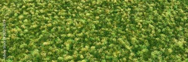 Fototapeta Green grass, background in the form of grass texture ,, 3d rendering