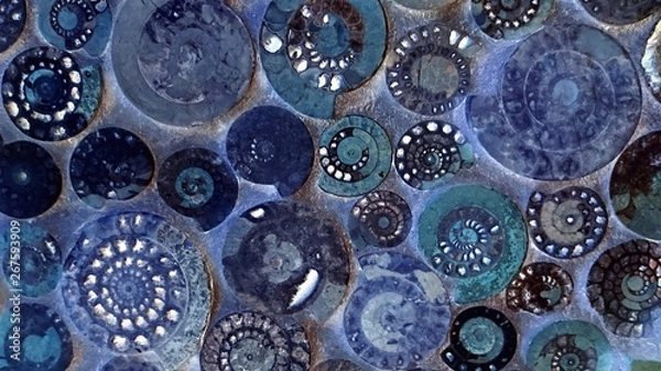 Fototapeta アンモナイト化石の背景