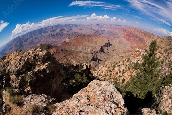 Obraz グランドキャニオンのパノラマビュー