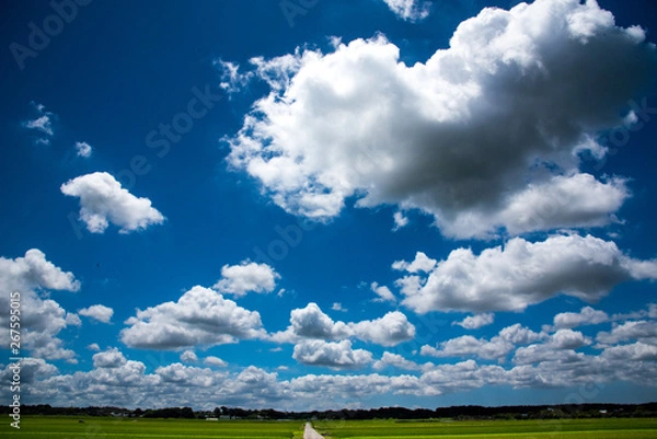 Obraz 空に浮かぶ雲とどこまでも続く一本の道