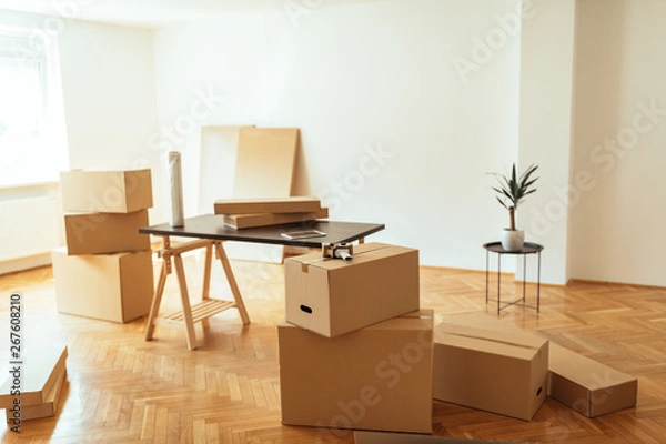 Fototapeta Moving day