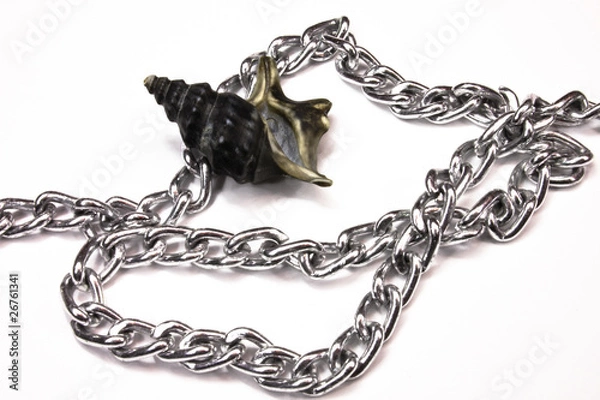 Obraz Schnecke Kette