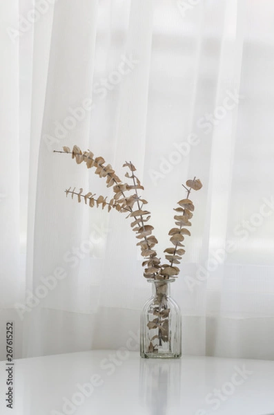 Obraz flowers in a vase