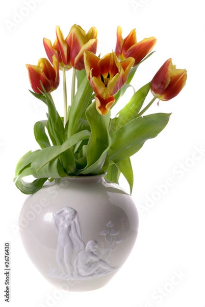 Fototapeta tulips isolated