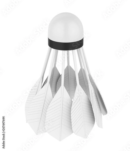 Obraz Badminton Feather Shuttlecock Isolated