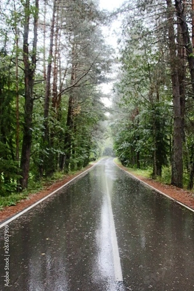 Obraz rain on the road