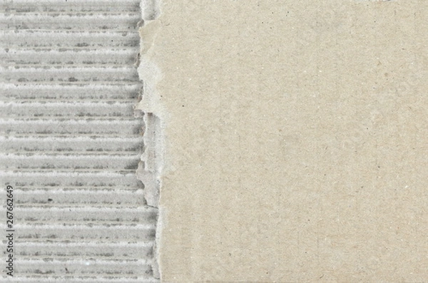Fototapeta Cardboard texture. cardboard background . Piece of corrugated cardboard torn. Cardboard texture ragged edge. Space for text.