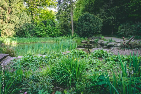 Fototapeta Teich / Tümpel