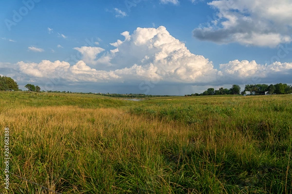 Obraz clouds over field