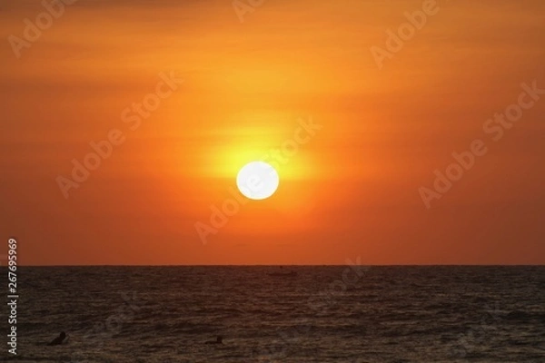 Obraz bote de flores