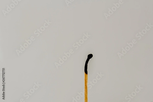 Fototapeta A burnt out match isolated against a clear background image with copy space in landscape format