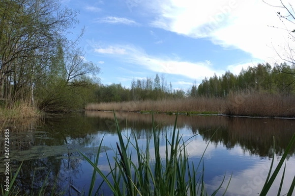 Fototapeta lake, water