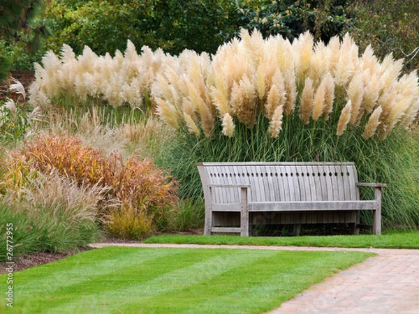 Obraz Bench in beautiful city park