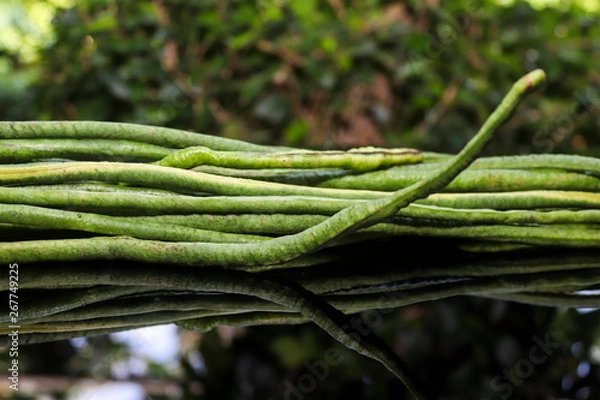 Fototapeta Yard Long bean on black background and reflection