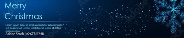 Obraz Shining Snowflakes. Banner. Abstract image of a starry sky or space, consisting of points, lines, n the form of stars and the universe. Low poly vector