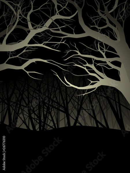 Obraz Lit forest canopy at night