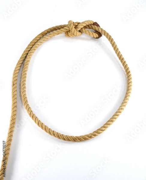 Obraz Lasso loop top view