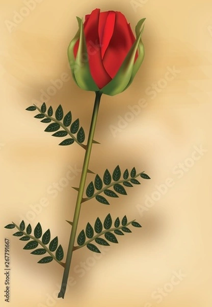 Fototapeta Печать