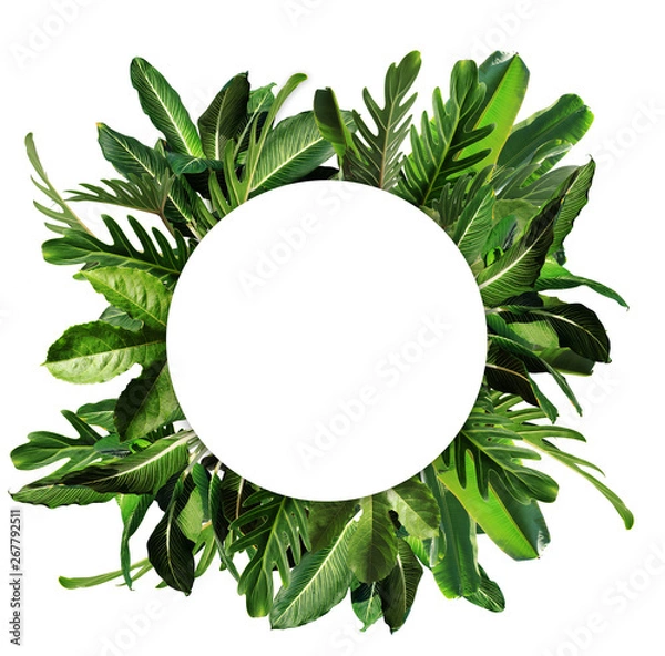 Obraz Blank white paper and tropical leaves top view isolated