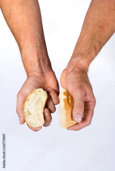 Fototapeta roll in hands