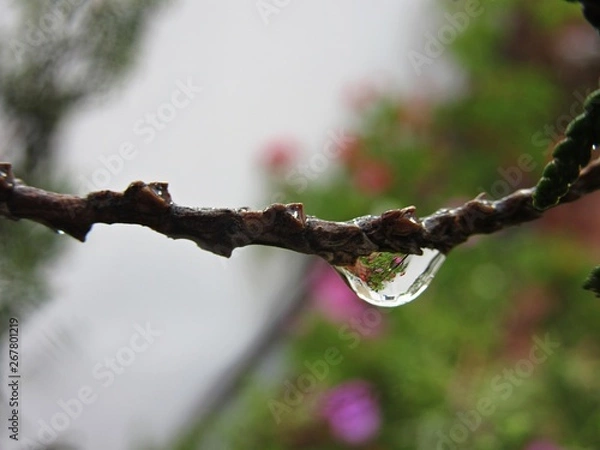 Obraz Gota con reflejos