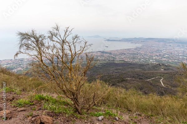 Obraz on the slopes of the crater of Vesuvius