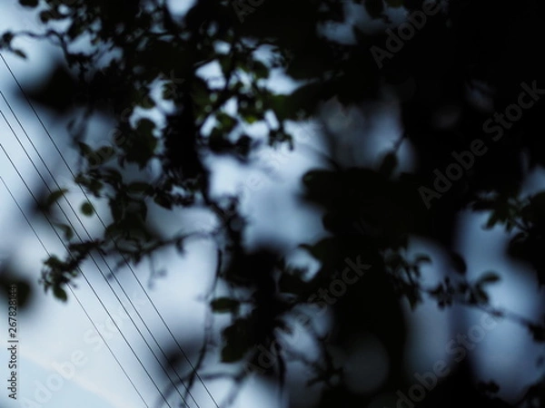 Obraz Baum mit Stromleitungen.