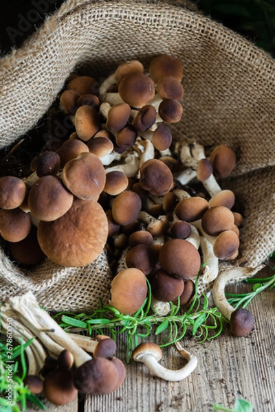 Obraz Mushrooms on rustic wooden table