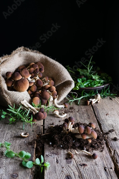 Obraz Mushrooms on rustic wooden table
