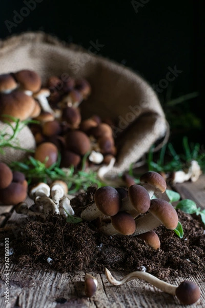 Obraz Mushrooms on rustic wooden table