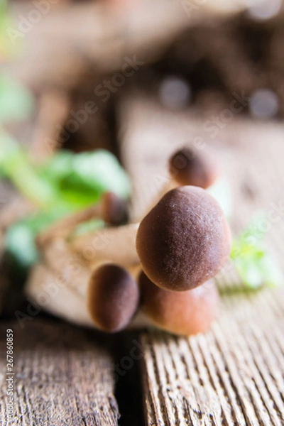Obraz Mushrooms on rustic wooden table