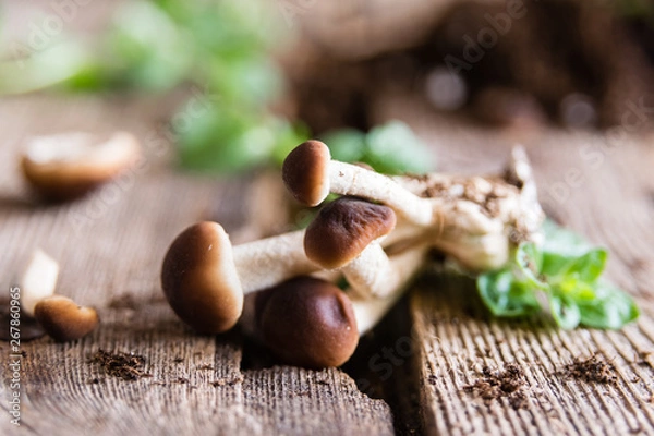Obraz Mushrooms on rustic wooden table