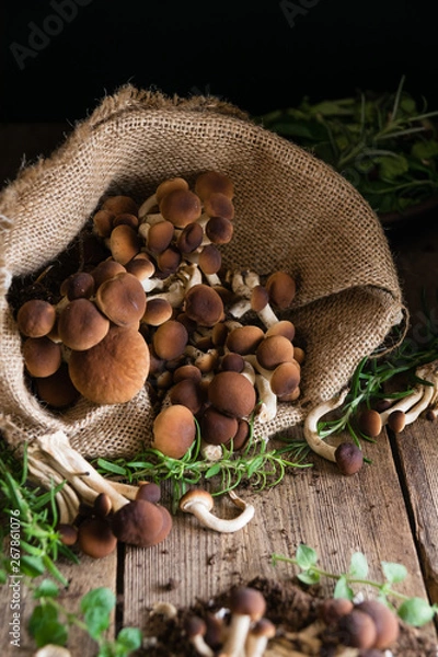 Obraz Mushrooms on rustic wooden table
