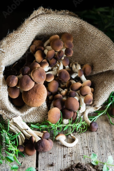 Obraz Mushrooms on rustic wooden table