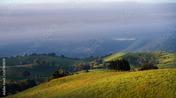 Obraz landscape in the mountains, atherton tablelands