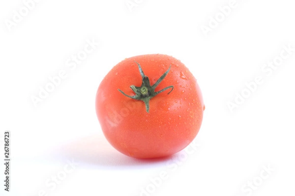 Obraz tomato