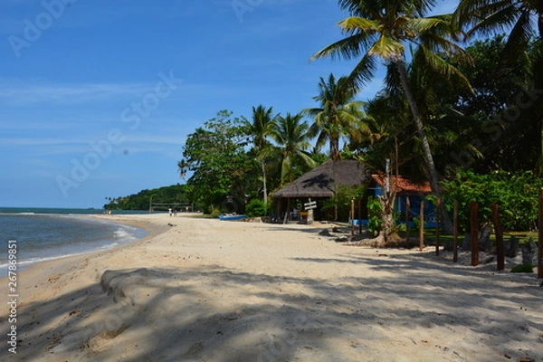 Obraz boipeba - bahia