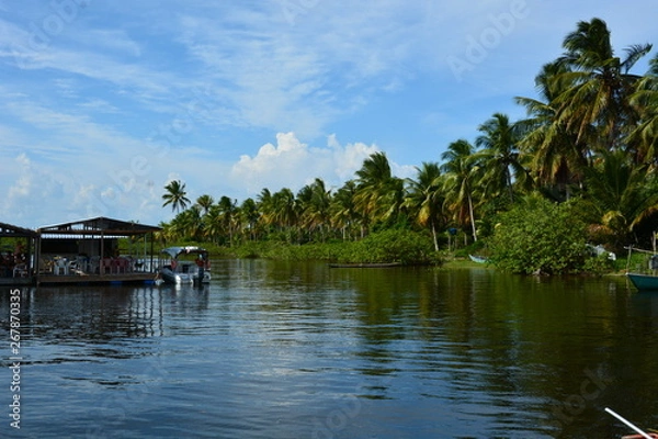 Obraz boipeba - bahia