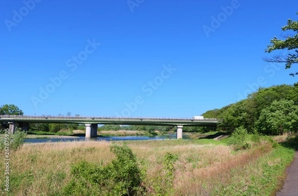 Obraz 風景　橋　空　思川　春　杤木