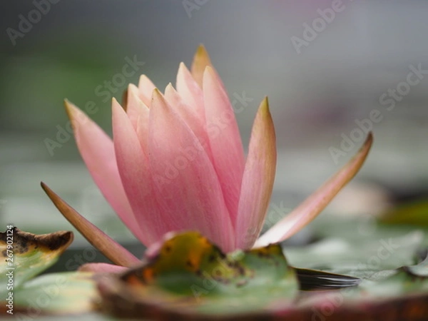 Obraz OLYMPUS DIGITAL CAMERA