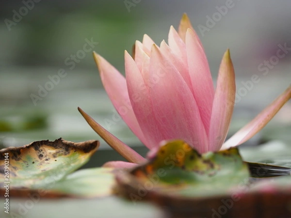 Obraz OLYMPUS DIGITAL CAMERA