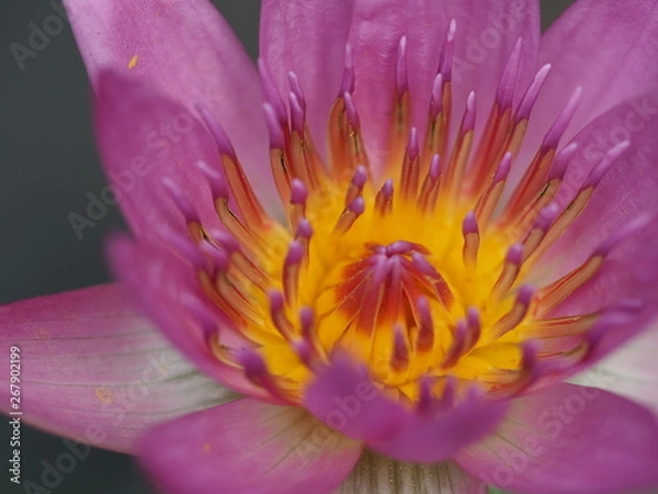 Obraz OLYMPUS DIGITAL CAMERA