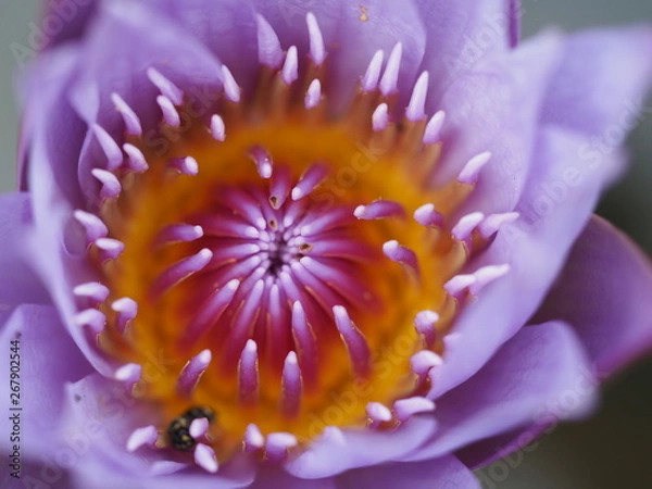 Obraz OLYMPUS DIGITAL CAMERA