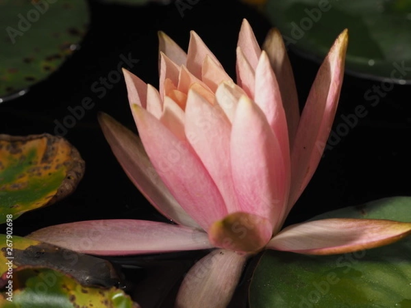 Obraz OLYMPUS DIGITAL CAMERA