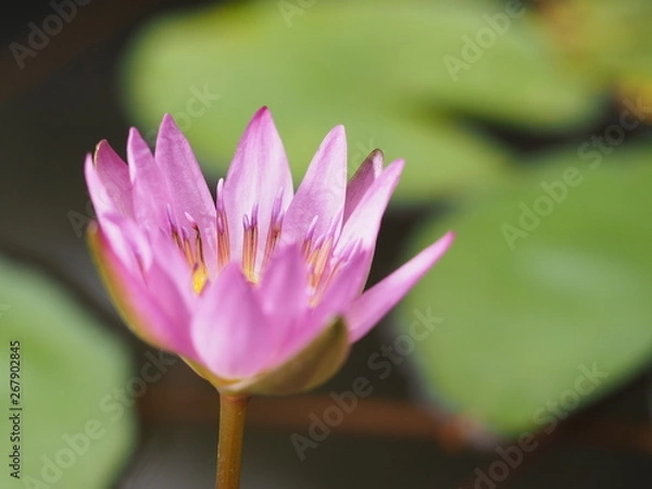 Obraz OLYMPUS DIGITAL CAMERA