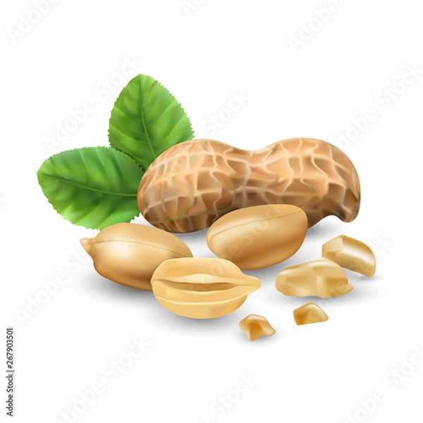 Fototapeta Peanuts 3D illustration realistic. For packaging with peanut butter, nut mix. Vegetable protein for vegetarians, a useful product.