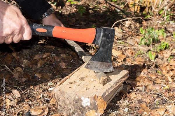 Obraz Close-up Man's Arms Cut Wooden Stick With An Ax
