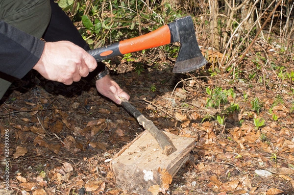Obraz Close-up Man's Hands Cut Wooden Stick With An Ax